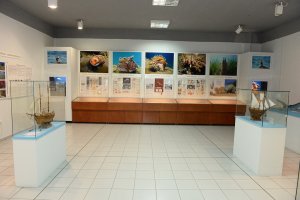 Θαλάσσια Ζωή